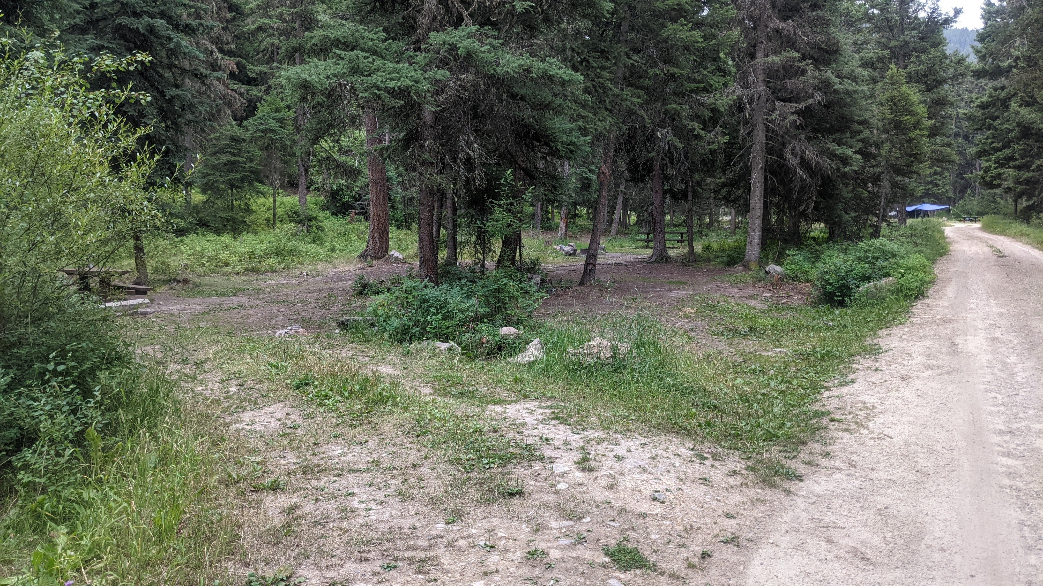 Camper submitted image from Gold Creek Campground - 1