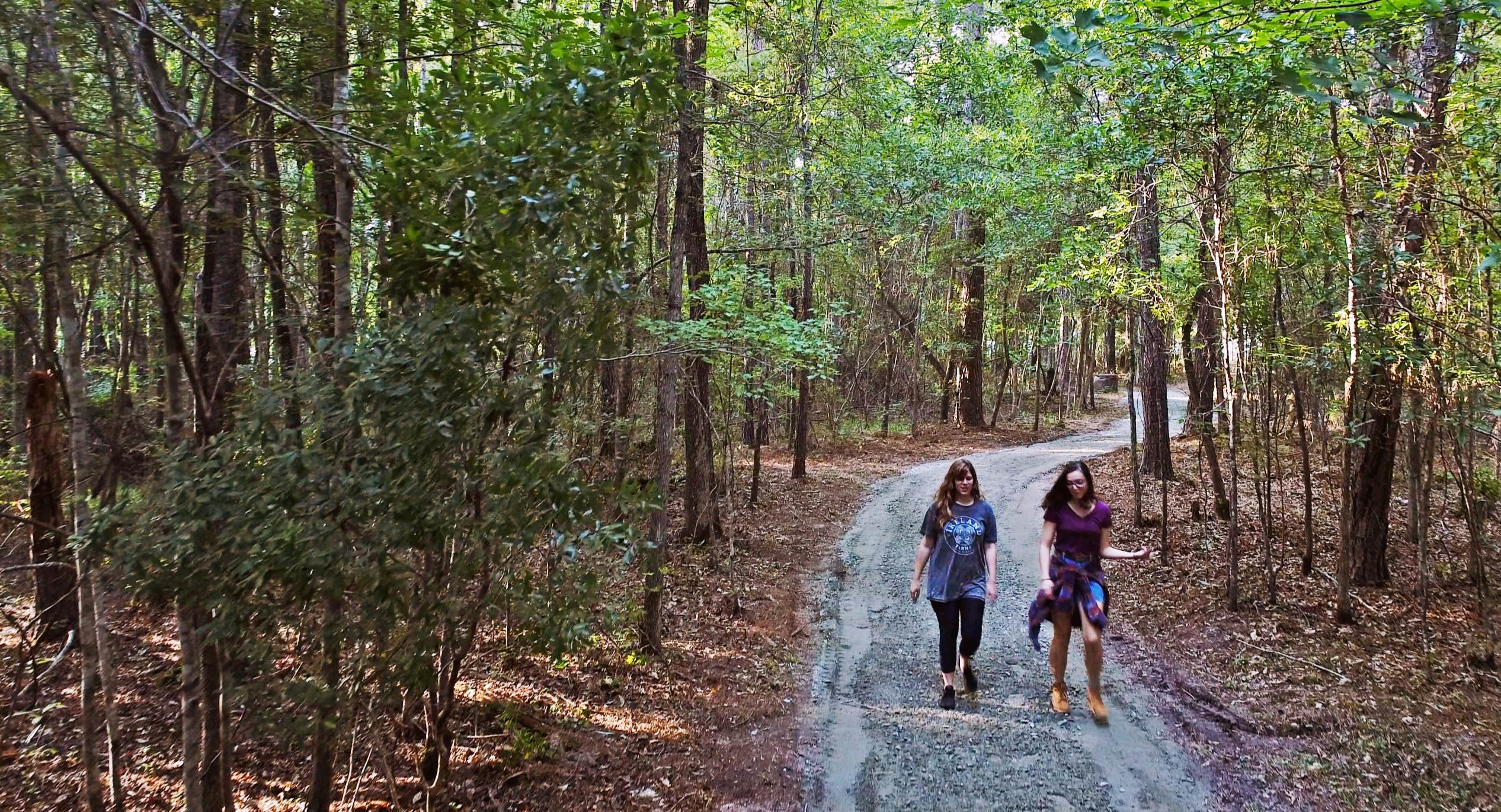 Camping near Blanton Creek Park Georgia Power: Lake Pines RV Park & Campground, Columbus, Georgia