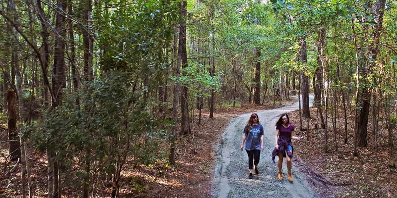 Camper submitted image from Lake Pines RV Park & Campground