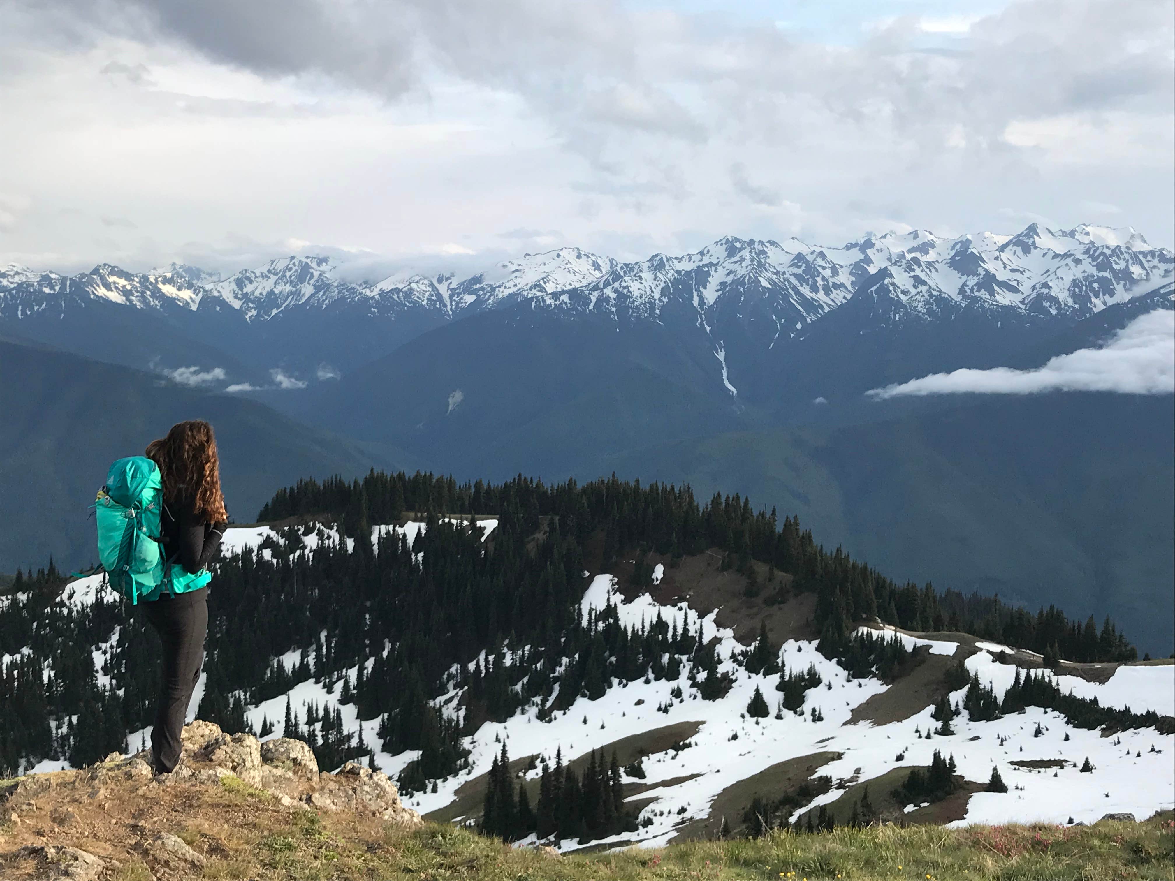 Camper submitted image from Heart O' the Hills Campground — Olympic National Park - 4