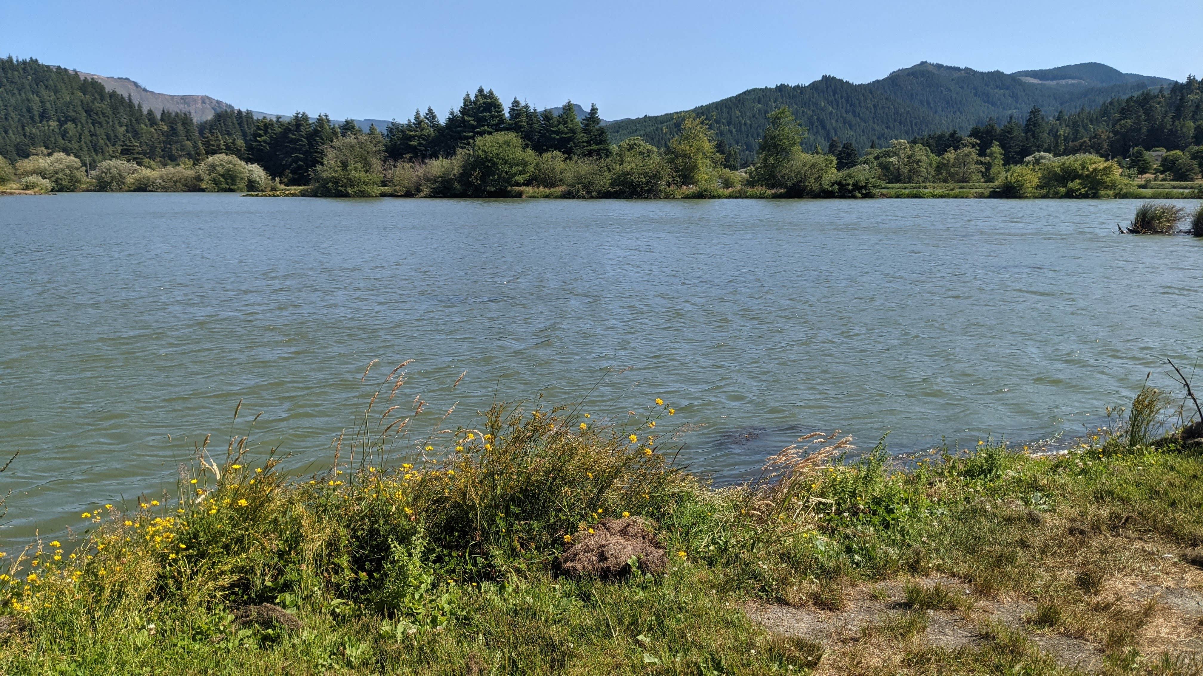 Camper-submitted photo at Powers County Park near Camas Valley, OR