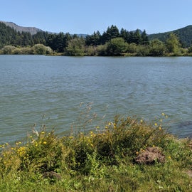 a view of the pond that is in the park.