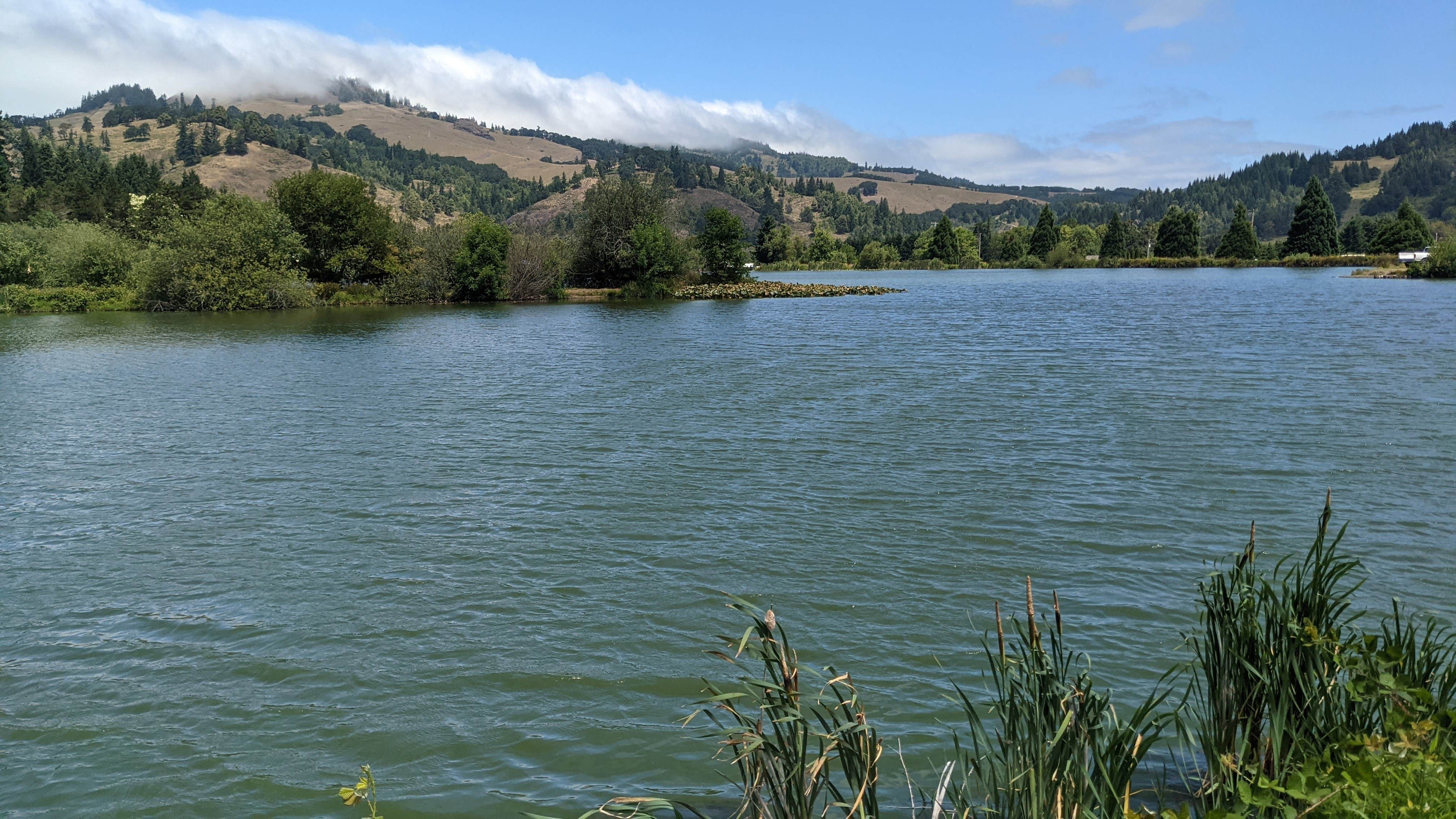 Camper-submitted photo at Powers County Park near Camas Valley, OR