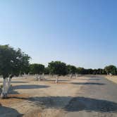 Review photo of Orange Grove RV Park by Julia P., August 12, 2021