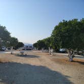 Review photo of Orange Grove RV Park by Julia P., August 12, 2021