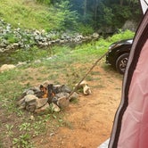 Review photo of Gooney Creek Campground by Jason G., August 12, 2021