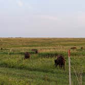 Review photo of Blue Mounds State Park Campground by Ari A., August 12, 2021