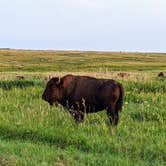 Review photo of Blue Mounds State Park Campground by Ari A., August 12, 2021