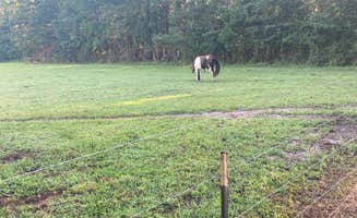 Taylor T.'s photo of camping with a horse at Double L Farms Campground near Cheraw, SC