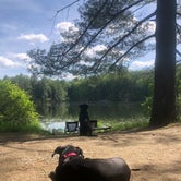 Review photo of Half Moon Pond State Park Campground by Rebecca D., August 12, 2021