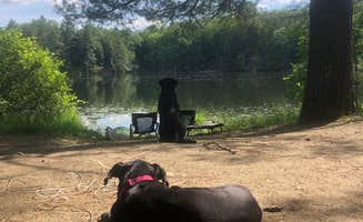 Rebecca D.'s photo of camping with pets at Half Moon Pond State Park Campground in Vermont