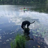Review photo of Half Moon Pond State Park Campground by Rebecca D., August 12, 2021