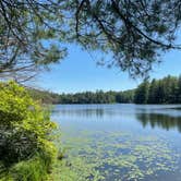 Review photo of Half Moon Pond State Park Campground by Rebecca D., August 12, 2021