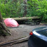 Review photo of Colonial Creek South Campground — Ross Lake National Recreation Area by Emily C., June 18, 2018