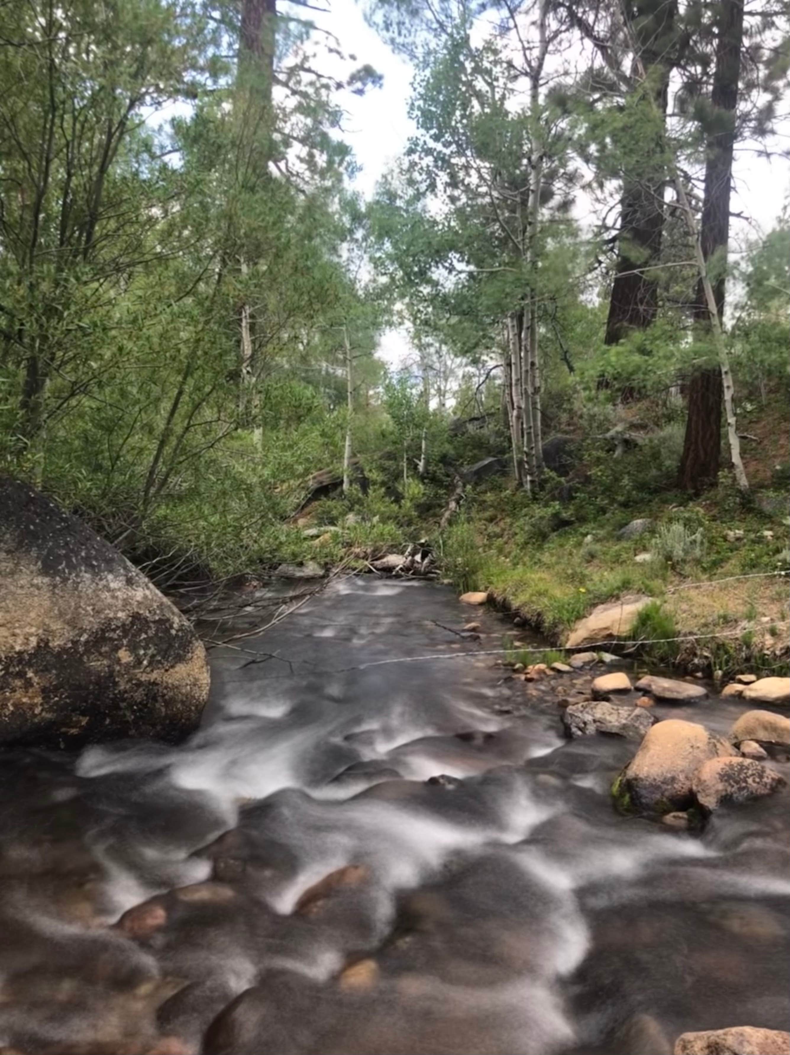 Camping near Sonora Bridge — Humboldt Toiyabe National Forest Headquarters: Obsidian Campground, Bridgeport, Nevada