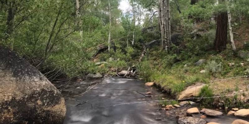 Camper submitted image from Obsidian Campground