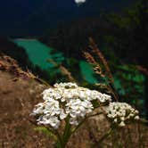 Review photo of Colonial Creek South Campground — Ross Lake National Recreation Area by Emily C., June 18, 2018