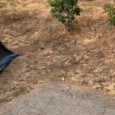Review photo of North Fork Campground by Ghastly A., August 12, 2021