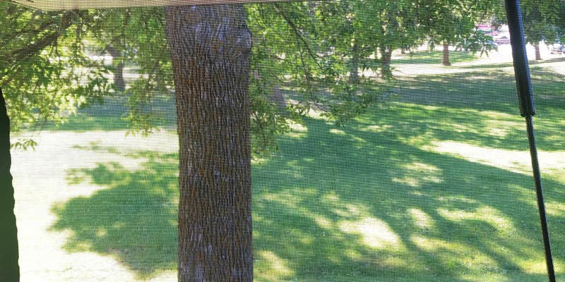 Camper submitted image from Crosby Memorial City Park