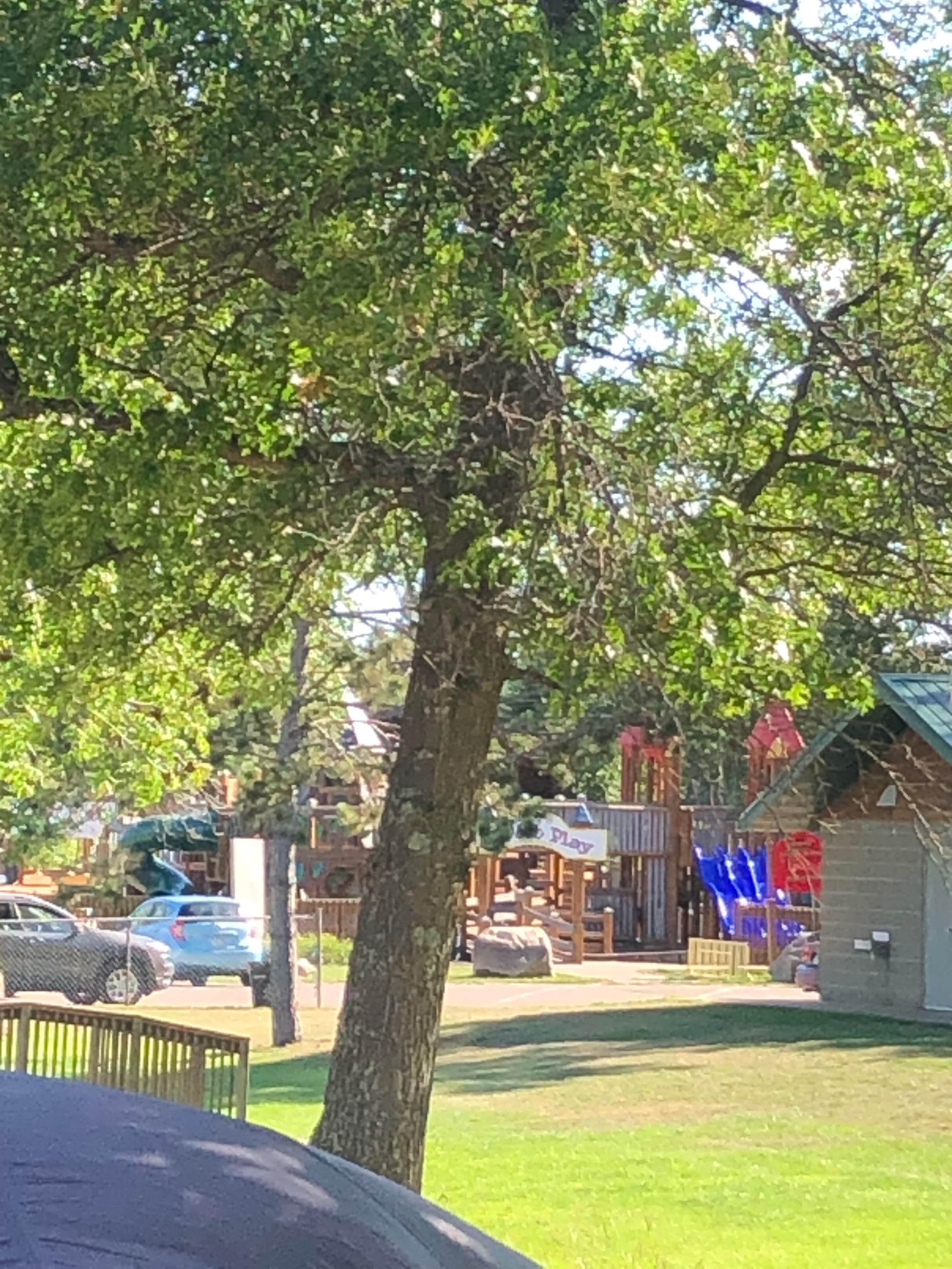 Camper-submitted photo at Crosby Memorial City Park near Aitkin, MN