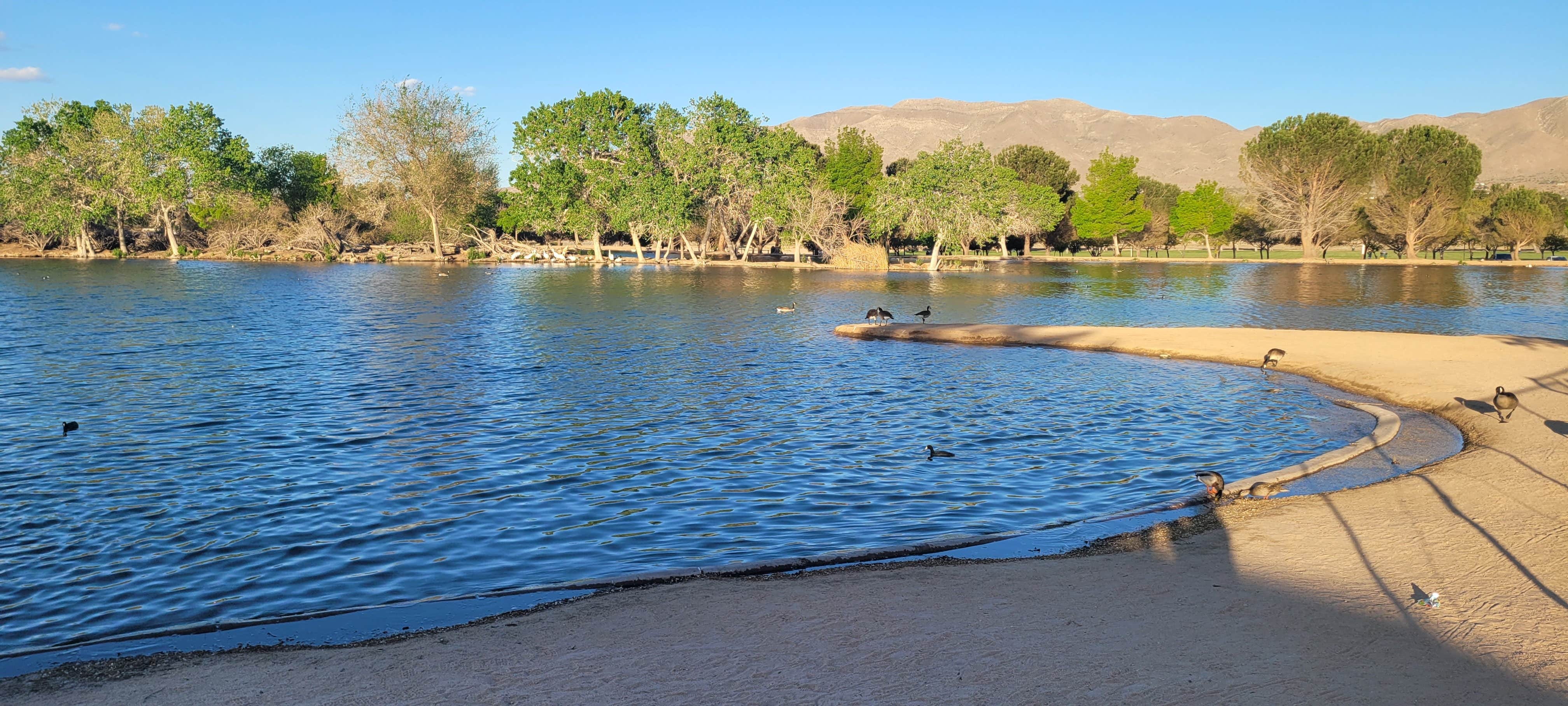 Camper submitted image from Hesperia Lake Park and Campground City Park - 5