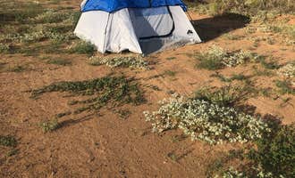 Camping near Wild West RV Park: Desert View RV park, Marfa, Texas