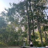Review photo of Lundy Canyon Campground by Kendall , August 13, 2021