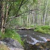 Review photo of Lundy Canyon Campground by Kendall , August 13, 2021