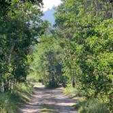 Review photo of Lundy Canyon Campground by Kendall , August 13, 2021