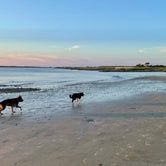 Review photo of Jekyll Island Campground by René M., August 13, 2021