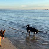 Review photo of Jekyll Island Campground by René M., August 13, 2021