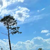 Review photo of Torreya State Park Campground by René M., August 13, 2021