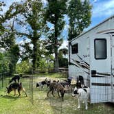 Review photo of Torreya State Park Campground by René M., August 13, 2021