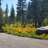 Review photo of Lost Creek Campground by Steven M., August 13, 2021