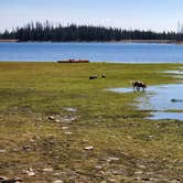 Review photo of Lost Creek Campground by Steven M., August 13, 2021