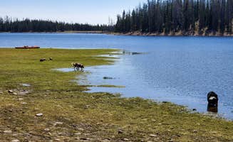 Steven M.'s photo of camping with pets at Lost Creek Campground near Altamont, UT