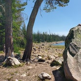 Review photo of Lost Creek Campground by Steven M., August 13, 2021
