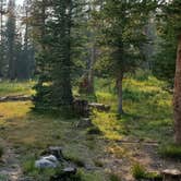 Review photo of Lost Creek Campground by Steven M., August 13, 2021