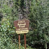 Review photo of Kaler Hollow Campground - Ashley National Forest by Greg L., August 13, 2021