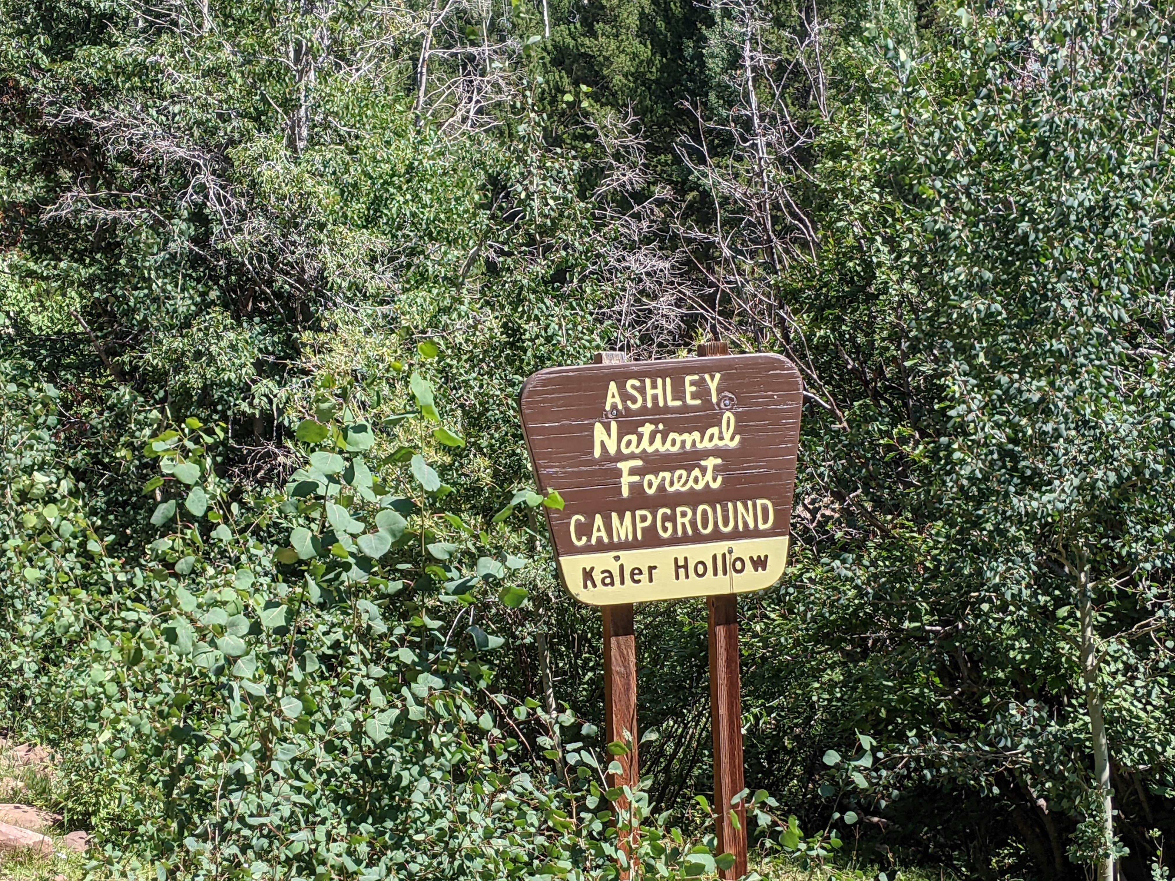 Camper submitted image from Kaler Hollow Campground - Ashley National Forest - 1