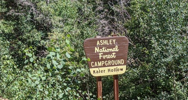 Kaler Hollow Campground - Ashley National Forest