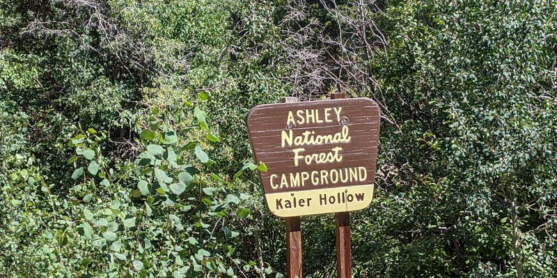 Camper submitted image from Kaler Hollow Campground - Ashley National Forest