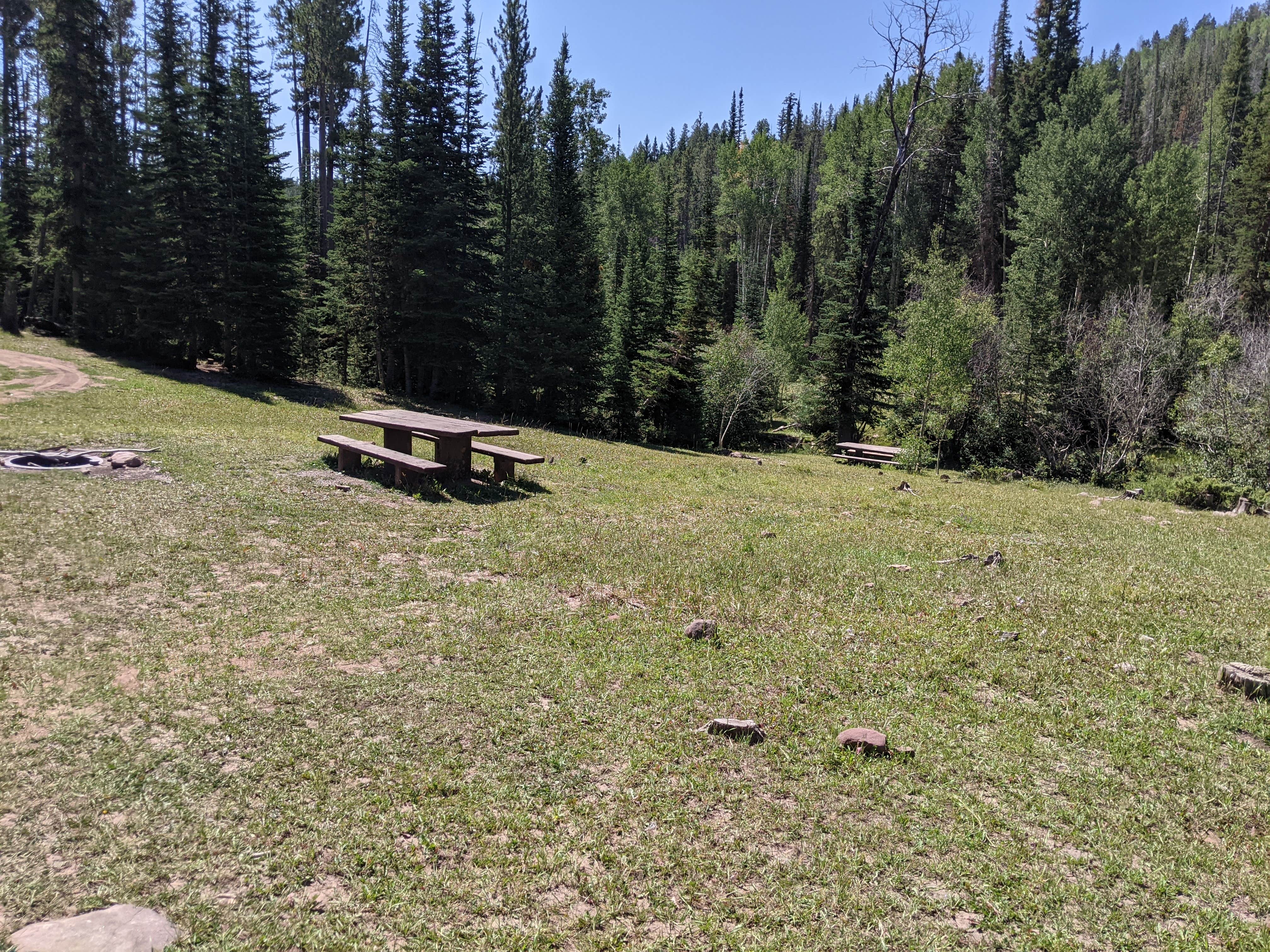 Camper submitted image from Kaler Hollow Campground - Ashley National Forest - 3