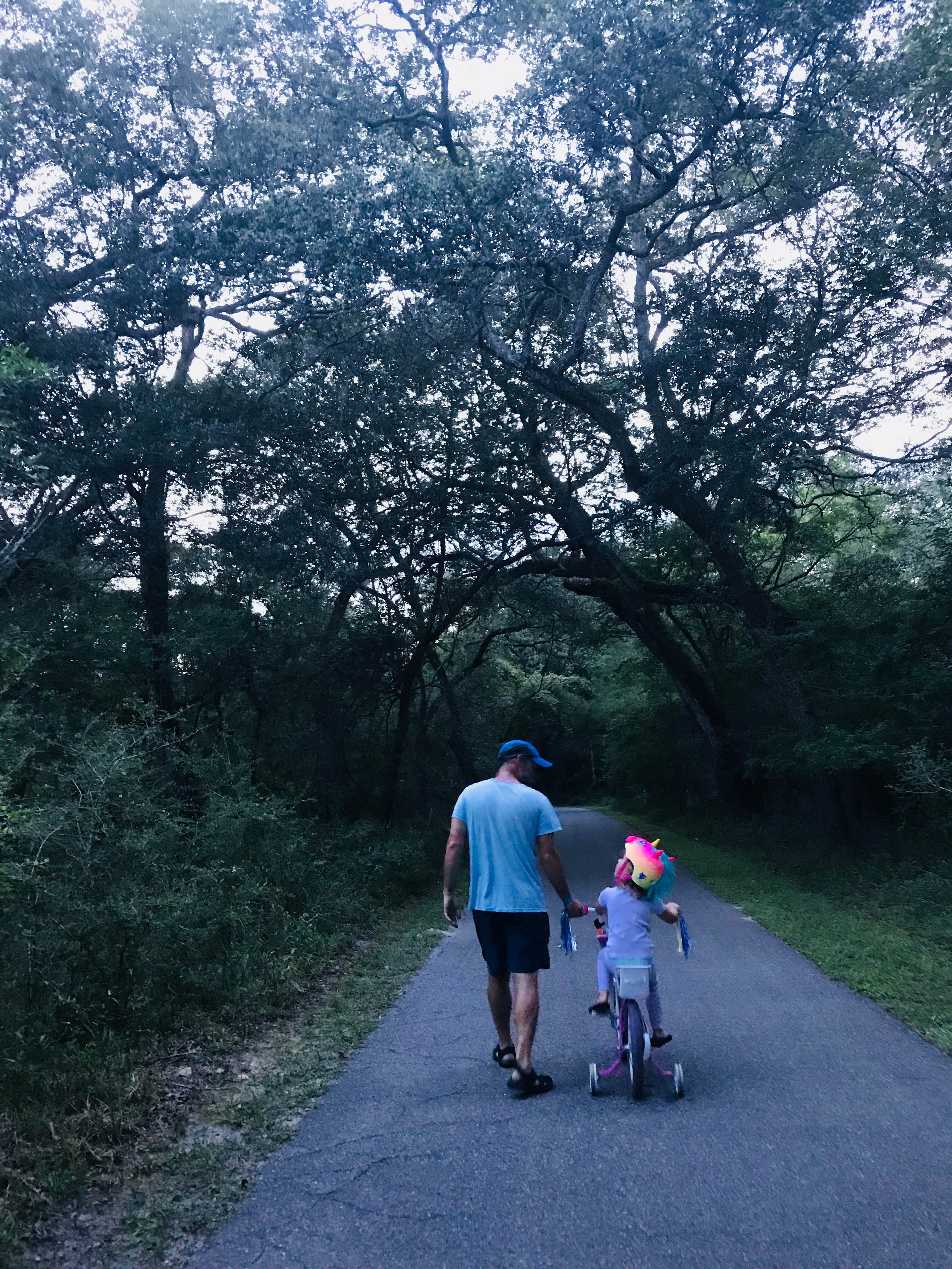 Camper submitted image from Hart Springs Park - 3