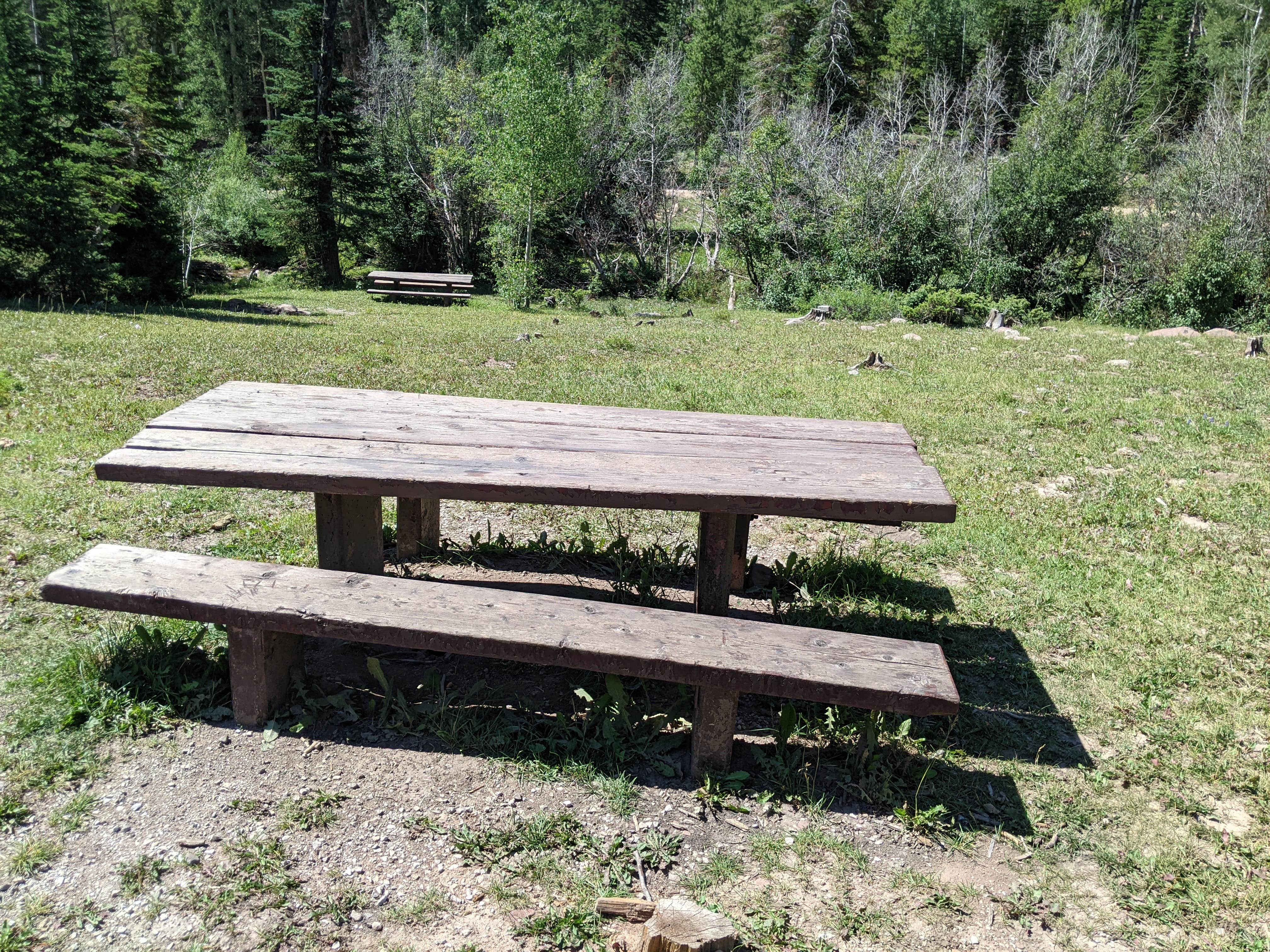 Camper submitted image from Kaler Hollow Campground - Ashley National Forest - 2