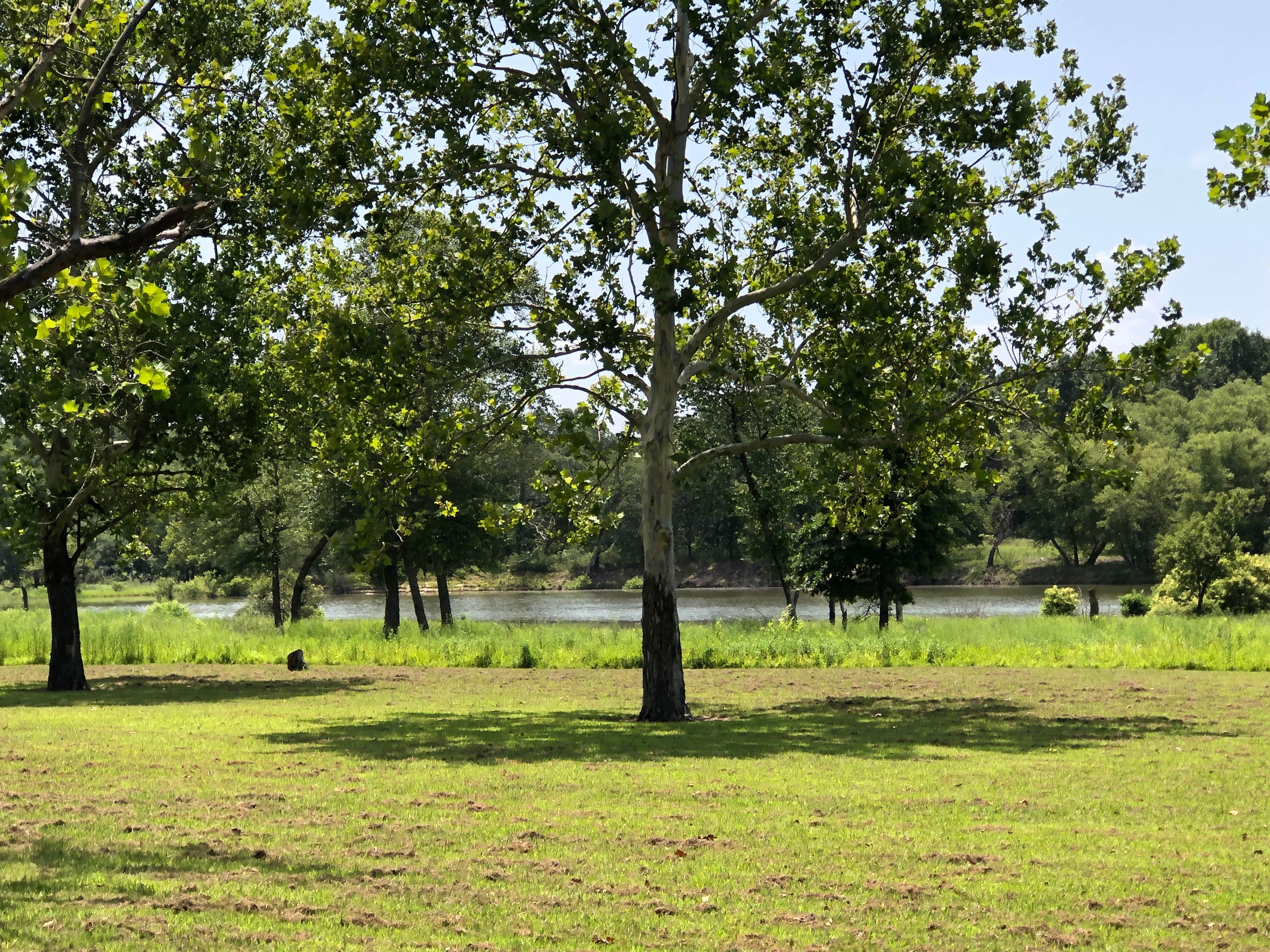 Camper submitted image from Mill Creek Recreation Area Eufaula Lake Oklahoma - 2