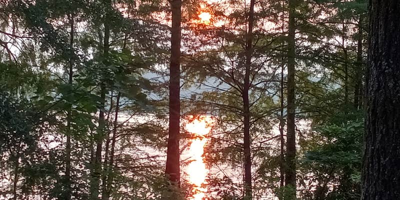 Camper submitted image from Corney Lake South Shore Campground