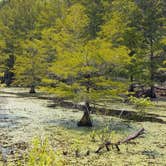 Review photo of Corney Lake South Shore Campground by Jim , August 13, 2021