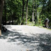 Review photo of Rosemount Camping Resort by John B., August 13, 2021