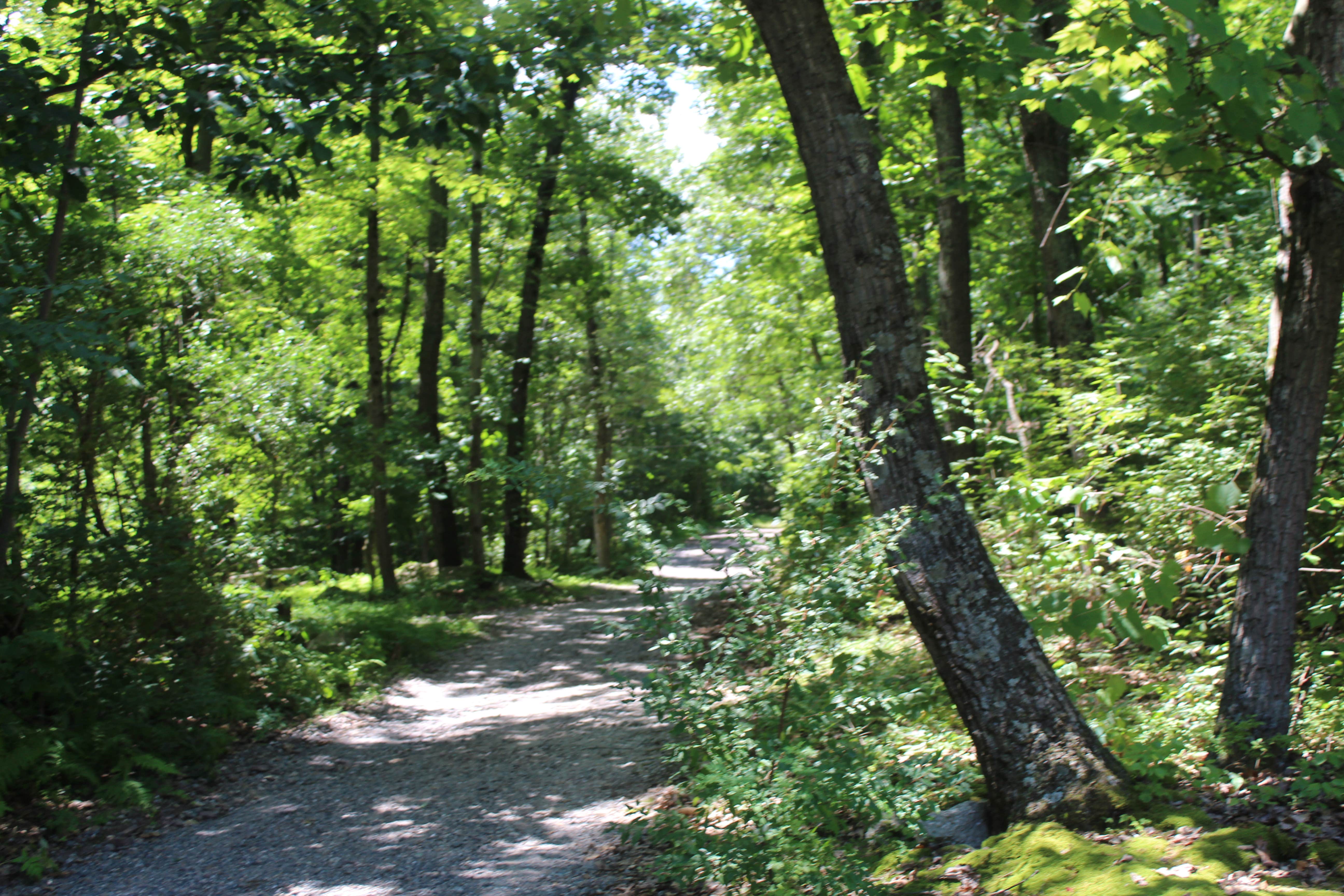 Camper-submitted photo at Rosemount Camping Resort near Middleport, PA